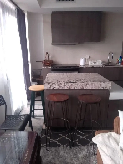 LUXURY JUNIOR 1-BED DEN BLOOR@TED ROGERS WAY (all incl) Image# 6