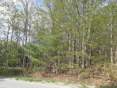 Lot For Sale - La Pêche - Terrain à vendre Image# 1