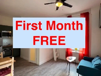 Furnished Studio - First Month Rent Free (Moss Park) Image# 9