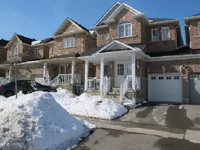 2Bedroom,2 washroom legal Basement For Rent Image# 6