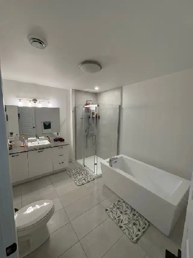 Appartement 2 chambre 1 salle de bain a louer Image# 4