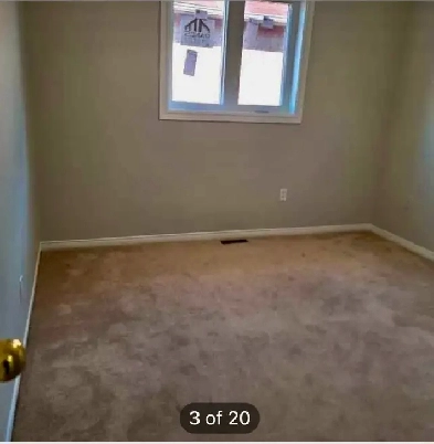 1bed room shared Image# 1