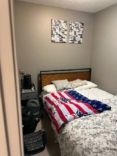 room for rent for girl only Image# 1