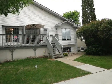 Three Bedroom House for rent Image# 7