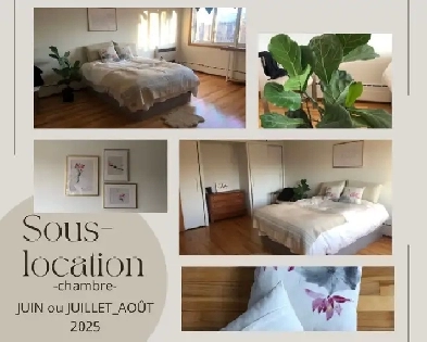 Chambre à Louer Image# 1