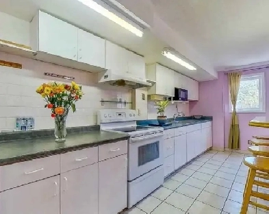 Private 1 bedrm apt in townhouse, Weston Rd & Sidney Belsey Cres Image# 1