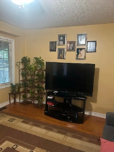house for rent in Brampton Image# 3