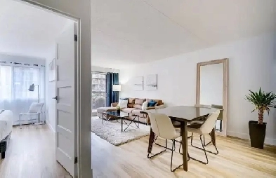 Appartement 3 1/2 1325$ Image# 4