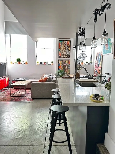 4 1/2 MEUBLÉ, 1 chambre   bureau, Villeray, parc Jarry Image# 1