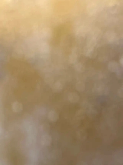 2bed2 bathroom condo to share Image# 1