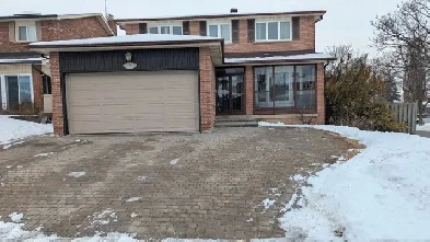 Renovated_Furnished House @ Prime Thornhill Area_Bayview & Hwy7 Image# 6