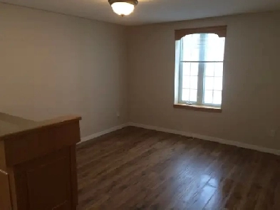 BRIGHT 1 BEDROOM APARTMENT AVAILABLE JUNE 1ST Image# 4
