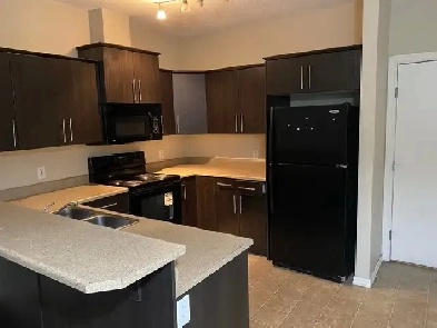2Bedroom apartment for rent Image# 2