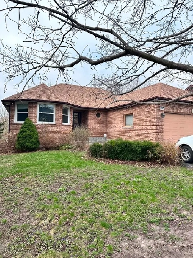 Family-Friendly Main Floor I 3 Bdrm I 2 Bath - Peterborough Image# 1