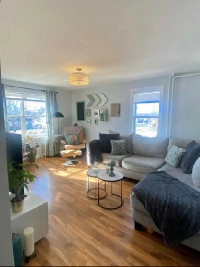 2 BDRMS 2 BATH, FULLY RENO, 6 APPLS SOUND PROOF PET OK WEST END Image# 1