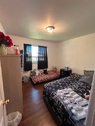 2 furnished rooms available in downtown Brampton Image# 2