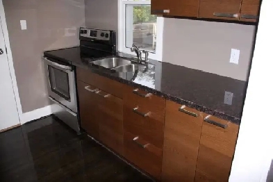 1 Bed   1 Bath For Rent Image# 4