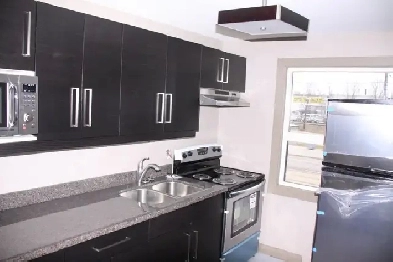 1 Bed   1 Bath For Rent Image# 4