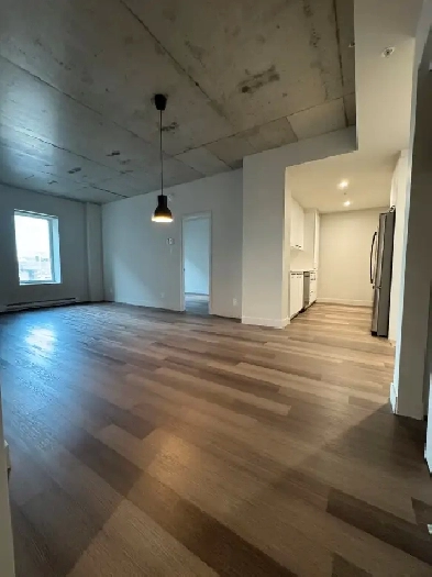 Villeray - Superbe Condo 4 1/2 Neuf Image# 1