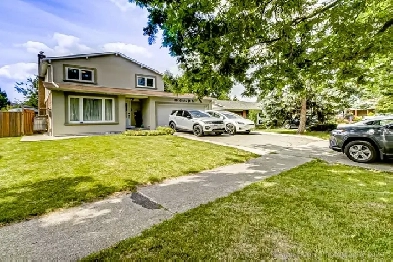 Beautiful Family Home for Sale in Heart of Brampton! Image# 1