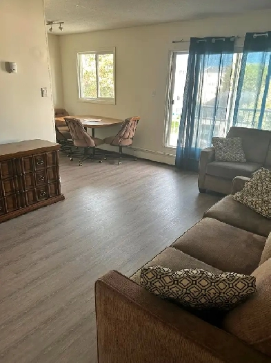 Room near West Edmonton Mall Image# 1
