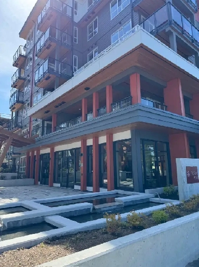 For Rent: 1 Bed   Den Condo – Surrey Central Image# 12