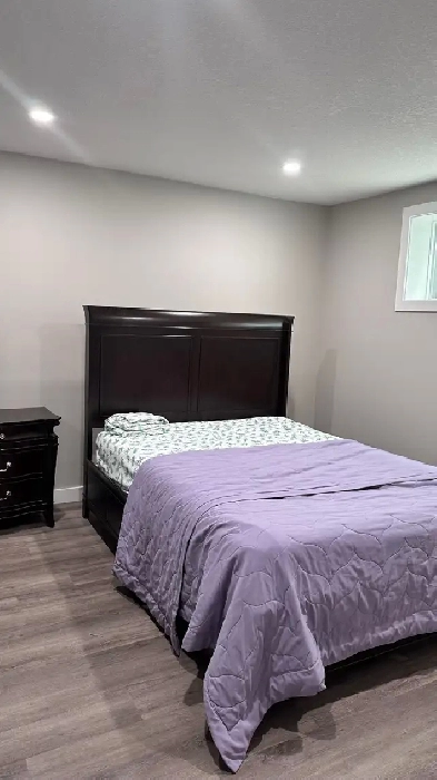 The fully Furnished Basement Avaliable in Laurel Edmonton Image# 3