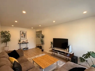 Private Room for Rent Image# 3
