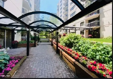 1 Bed 1 Bath - Apartment in Downtown Montreal for rent Image# 1