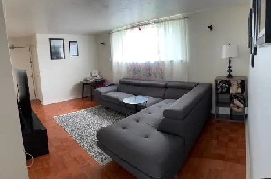 Oshawa 1 Bedroom Apt avail June 1 Image# 2