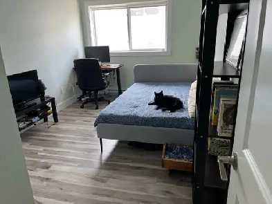 2 Bedroom - 1 Bathroom Apartment for July 1st Image# 2