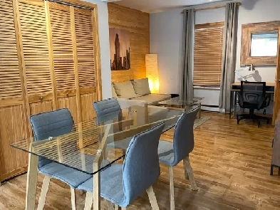 LOFT  ✨ Clef en mains    (meublé/chauffé/éclairé/wifi/lave-v Image# 2
