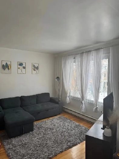 Appartement lumineux à louer dans le Saint-Léonard Image# 6