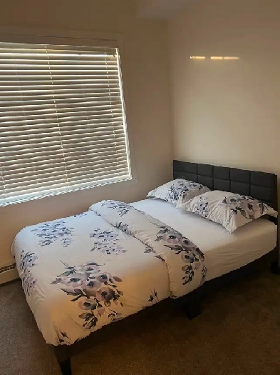 Basement for rent Image# 5