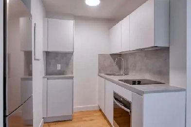 renovated studio apartment near blvd Saint-Laurent - ID 3829 Image# 2