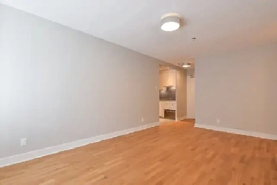 renovated one bedroom apartment on Aylmer near McGill - ID 3850 Image# 1