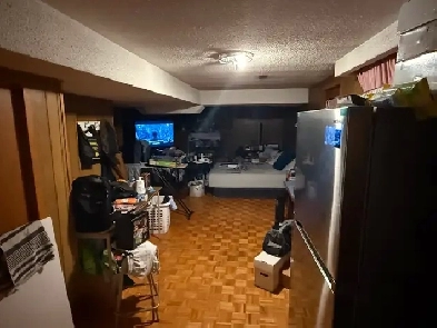 Studio Basement for rent Image# 1