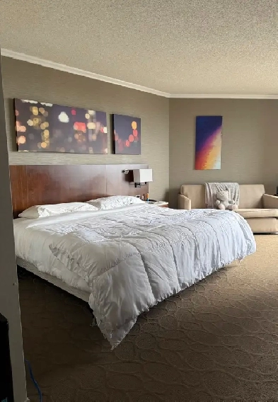 King Room at Evo Montréal - Summer lease transfer - $1450/mo Image# 6