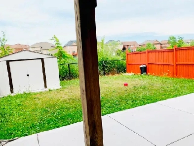 1 bedroom Walkout basement Image# 1