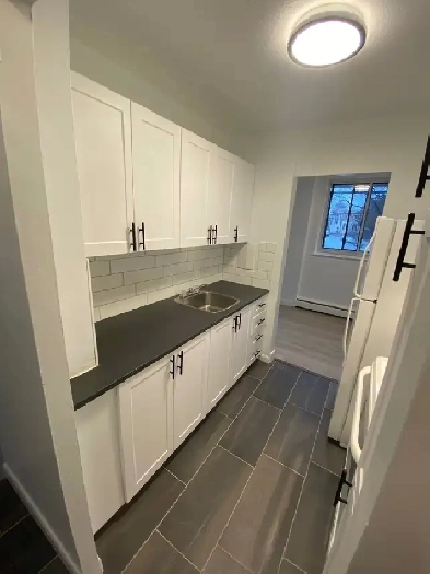 Beau grand 3.5 rénové libre immédiatement Image# 1