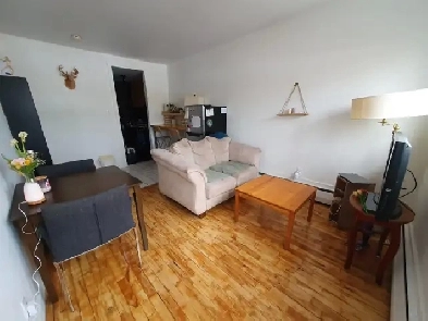 Appartement 3 1/2 meublé à louer au 1er juillet 2025 Image# 1