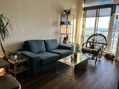 Fabulous sunny 2 bedroom Condo in Queen West with lake view Image# 8