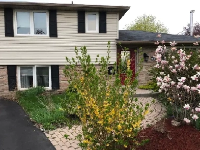 And a Great Landlord. Image# 1