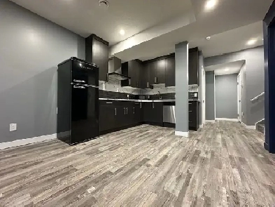 Brand-New 1-Bedroom Basement Suite for Rent in Evanston Image# 4