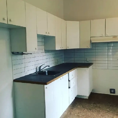 MÉTRO VIAU. Grand 5 1/2 rdc avec cour LIBRE juin 2025 Image# 1