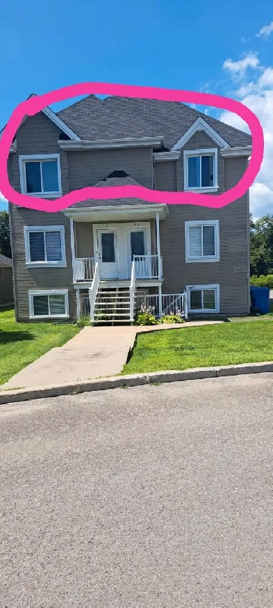 Très Grand et lumineux appartement 4 1/2 à louer  1150$ Image# 1