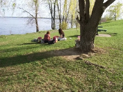 A LOUER, 4.5, VERDUN OUEST Image# 1