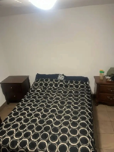 3 1/2 a louer Image# 1