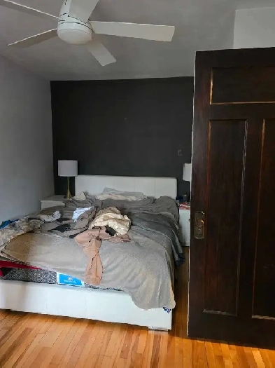 All-Female Rooming House – Walk to UOttawa, Rideau Centre | Room Image# 7