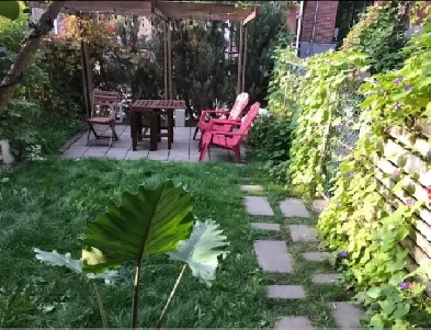 Appartement 5 et demi dans le Vieux Rosemont/Angus, cession bail Image# 10